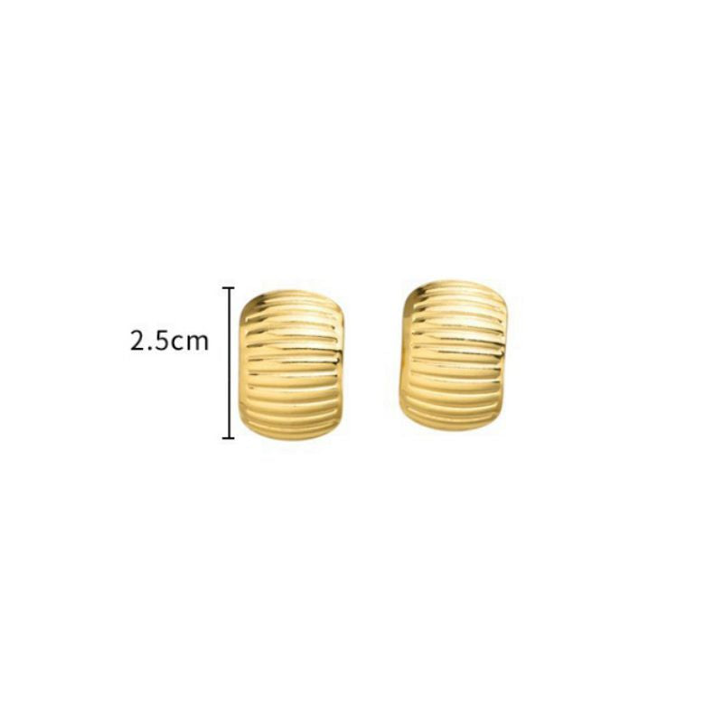 2# Stainless Steel Irregular-shaped Earrings