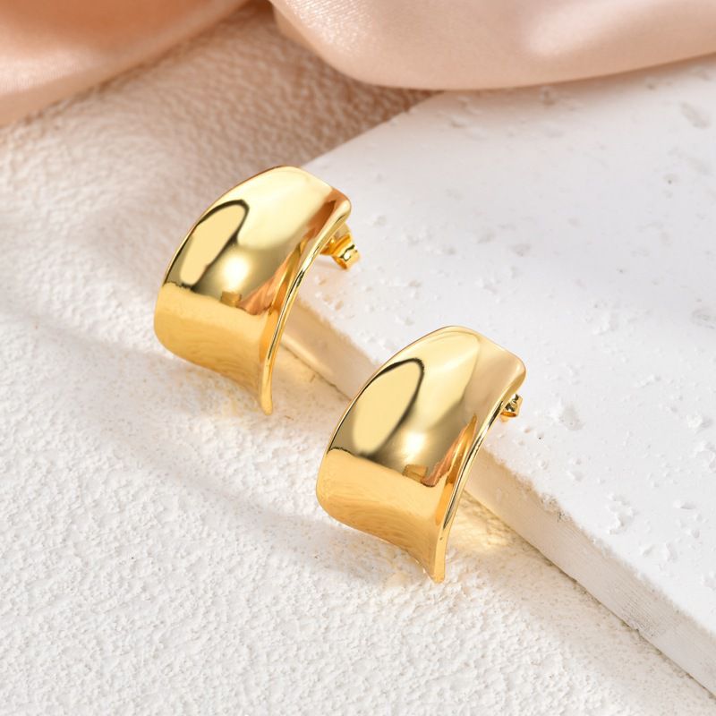 2# Stainless Steel Irregular-shaped Earrings
