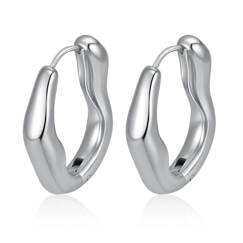 Steel Stainless Steel Irregular Earrings