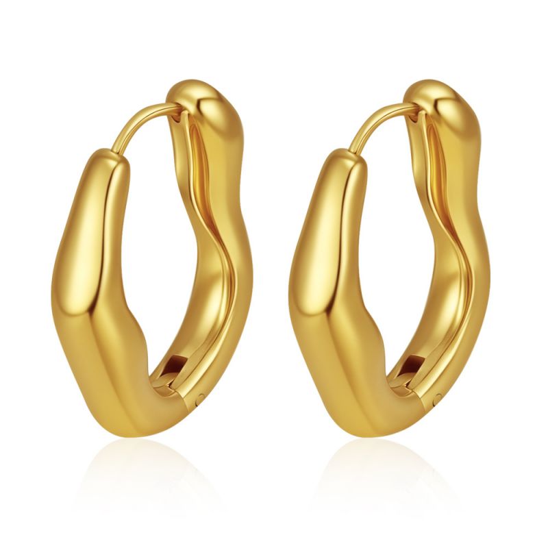 Steel Stainless Steel Irregular Earrings