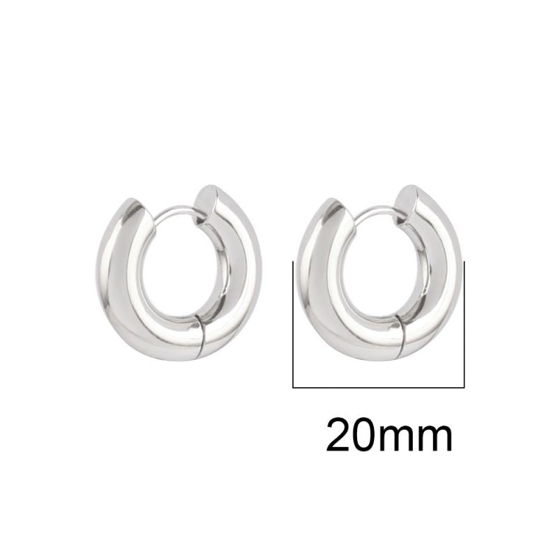 Silver 22mm Stainless Steel Round Earrings