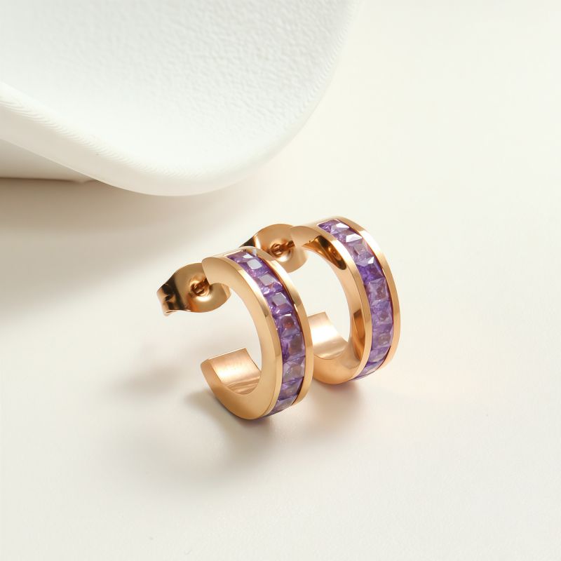 White Diamond Silver Earrings Stainless Steel Diamond-studded C-shaped Earrings