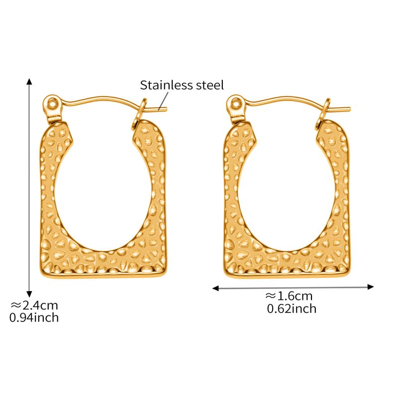 Gold Earrings Stainless Steel Irregular Earrings