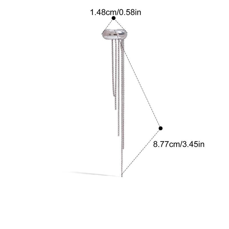 Earring #1 Stainless Steel Chain Tassel Earrings