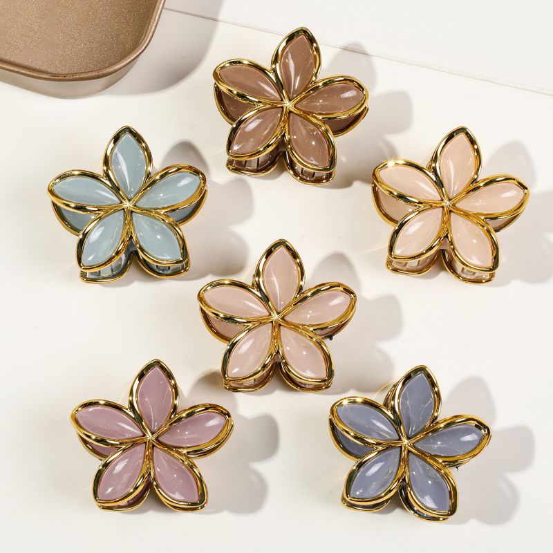 Pack Of 6 Small Frangipani Flowers - Golden-edged Jelly Color Plastic Frangipani Clip Set