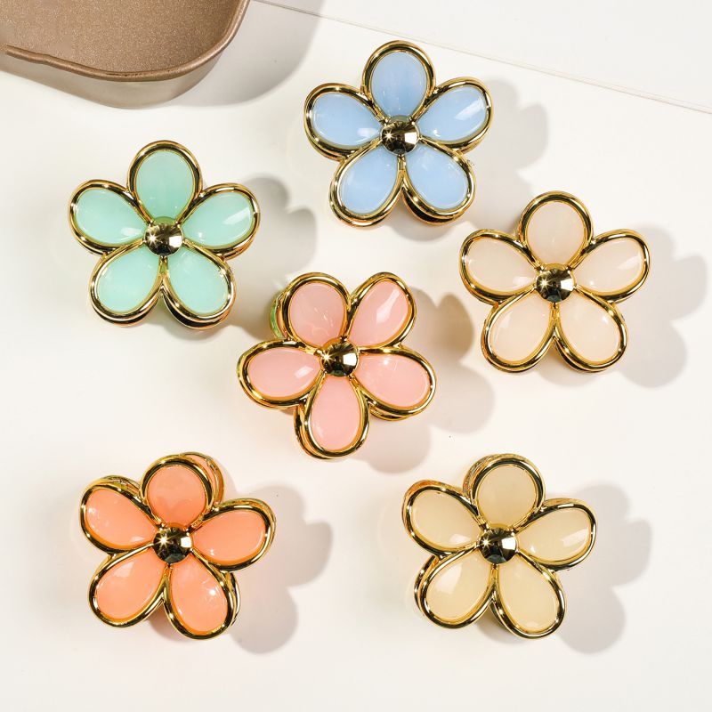 Pack Of 6 Small Frangipani Flowers - Golden-edged Jelly Color Plastic Frangipani Clip Set