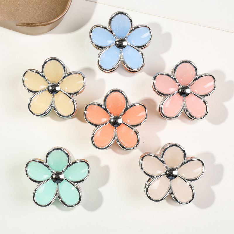 Pack Of 6 Small Frangipani Flowers - Golden-edged Jelly Color Plastic Frangipani Clip Set