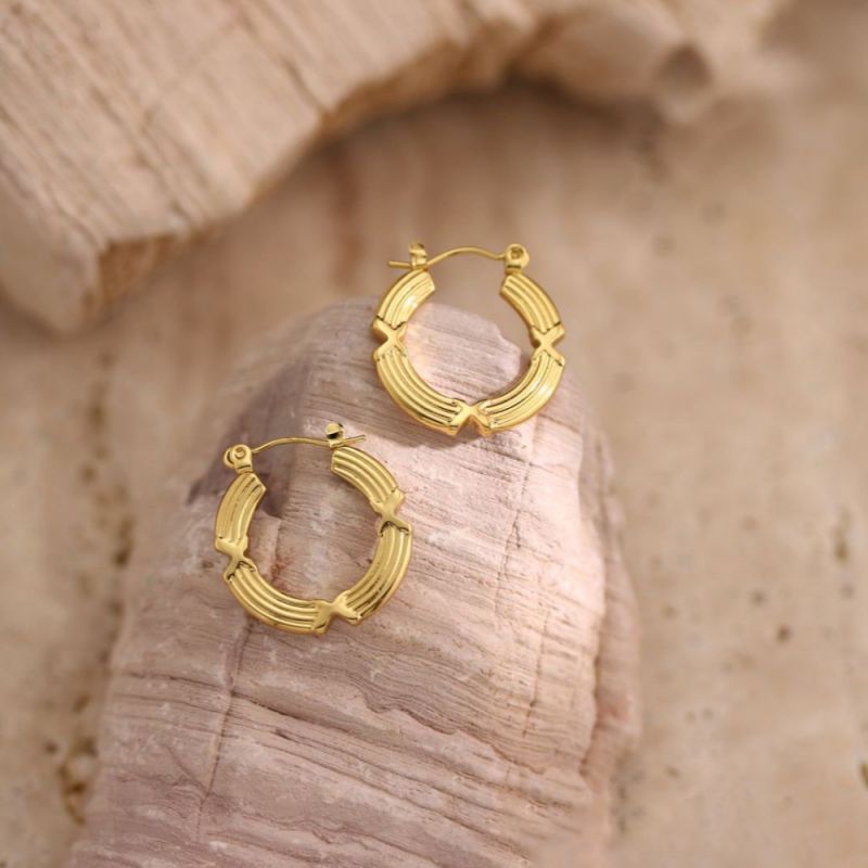 Earring #1 Stainless Steel Round Earrings