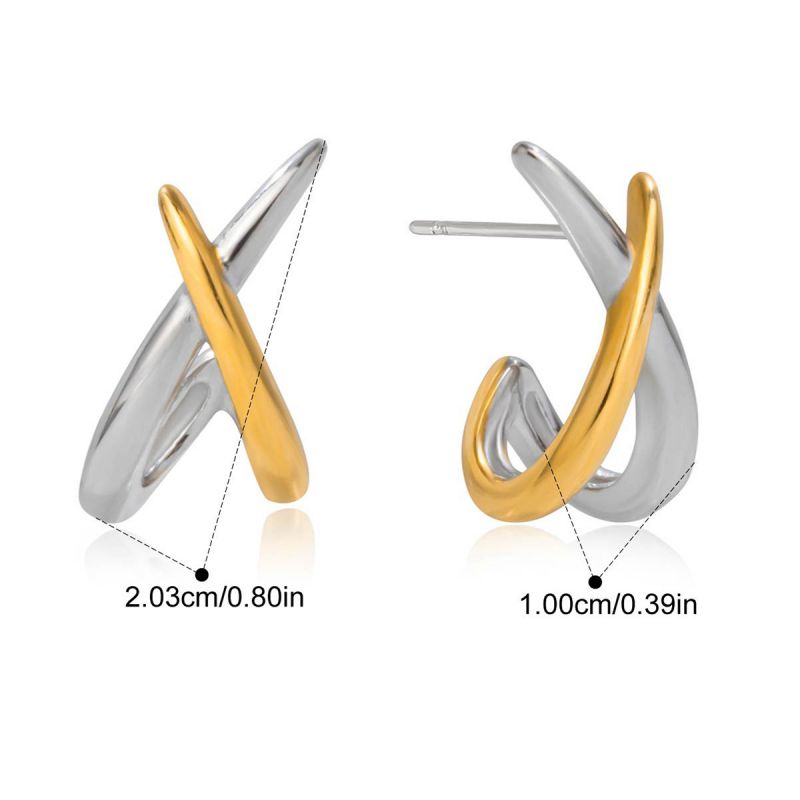 Earring #1 Stainless Steel Two-tone Double-layer Earrings