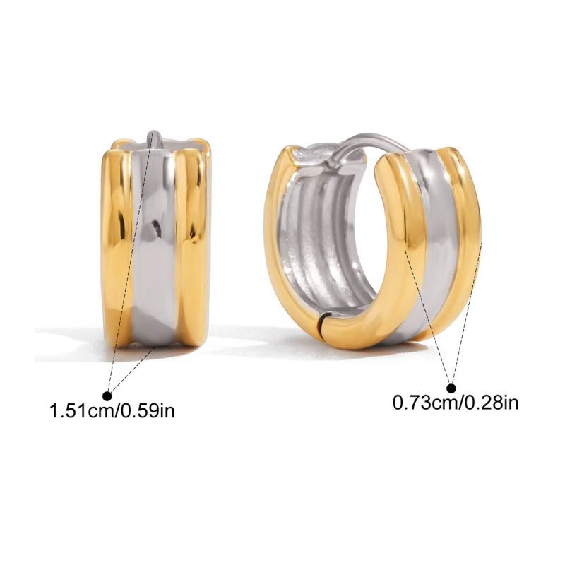 Earring #1 Stainless Steel Two-tone Double-layer Earrings