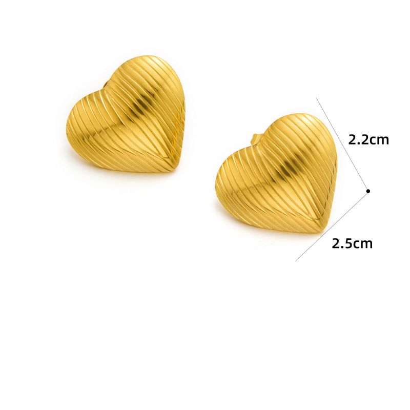Earring #5 Titanium Steel Pleated Earrings