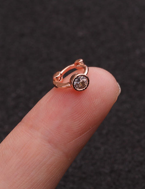 Fashion Silver 1# Zircon Flower Earrings