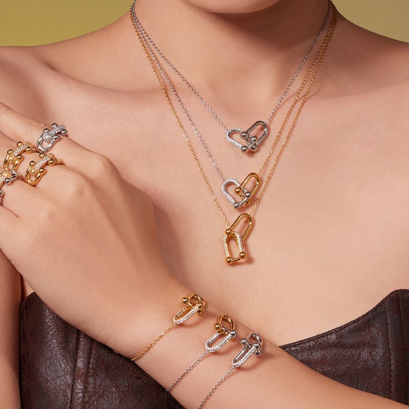 Gold Necklace 42+5cm Stainless Steel Diamond-encrusted Horseshoe Buckle Necklace