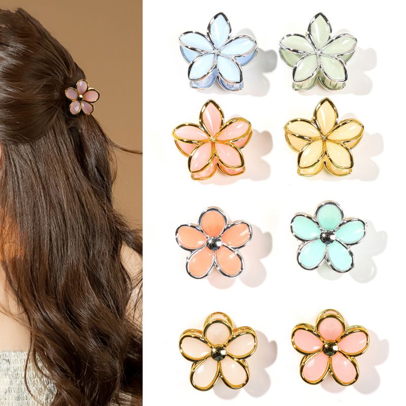 Pack Of 6 Small Frangipani Flowers - Golden-edged Jelly Color Plastic Frangipani Clip Set