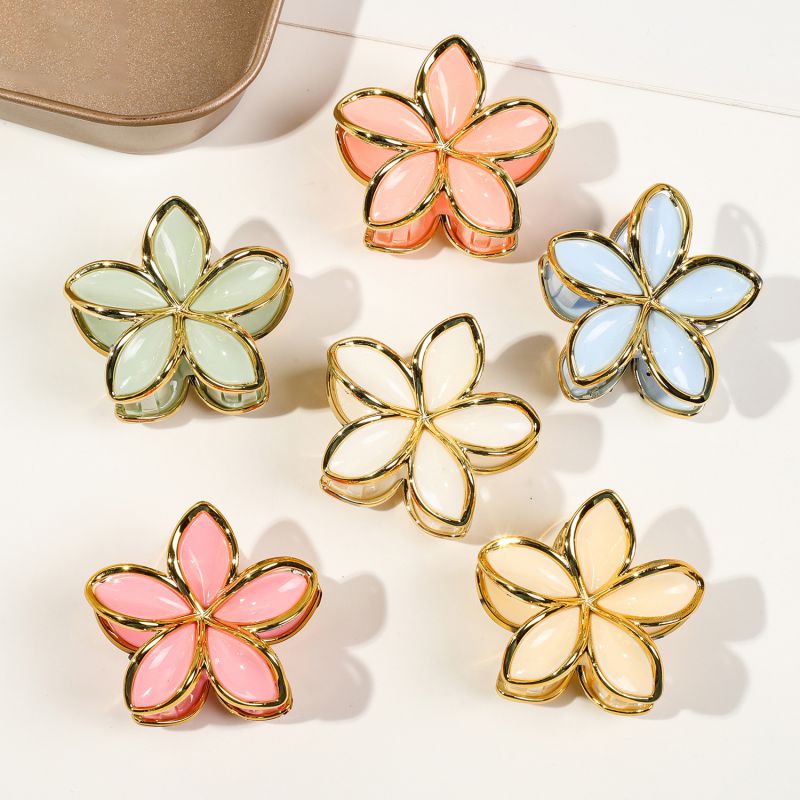 Pack Of 6 Small Frangipani Flowers - Golden-edged Jelly Color Plastic Frangipani Clip Set