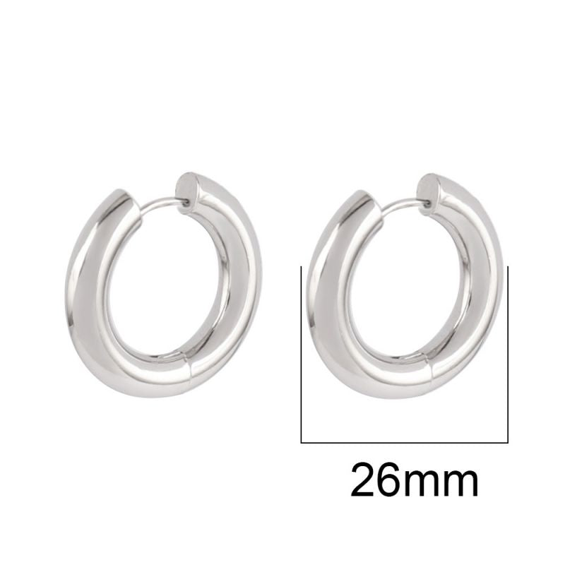 Silver 22mm Stainless Steel Round Earrings