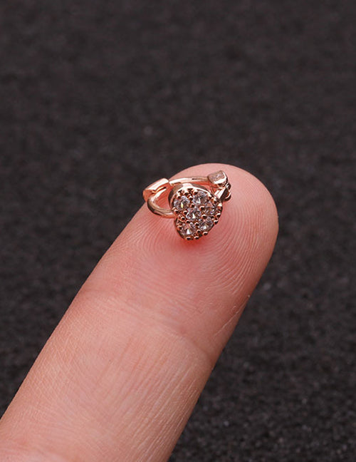 Fashion Silver 1# Zircon Flower Earrings