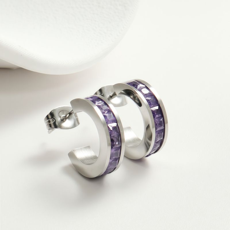 White Diamond Silver Earrings Stainless Steel Diamond-studded C-shaped Earrings